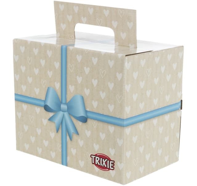 Presentförpackning, kartong, 25,5 × 26,4 × 15 cm