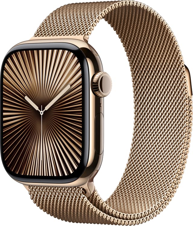 Apple Watch S10 46mm GPS+Cel (Gulltitan/Gull Milanese Loop) M/L