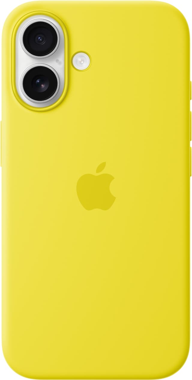Apple iPhone 16 mobildeksel (stjernefrukt)