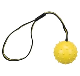 Leksak för hundar Sportboll på band, naturgummi, ø 6 × 35 cm