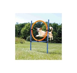 Hundeaktivitet agilityring, plast, 115 × ø 3 cm, ø 65 cm, blå/oransje, Trixie