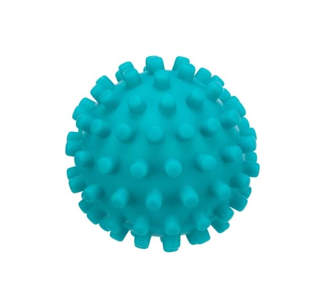 Leksak för hundar Igelkottsboll, stora nubbar, vinyl, ø 12 cm