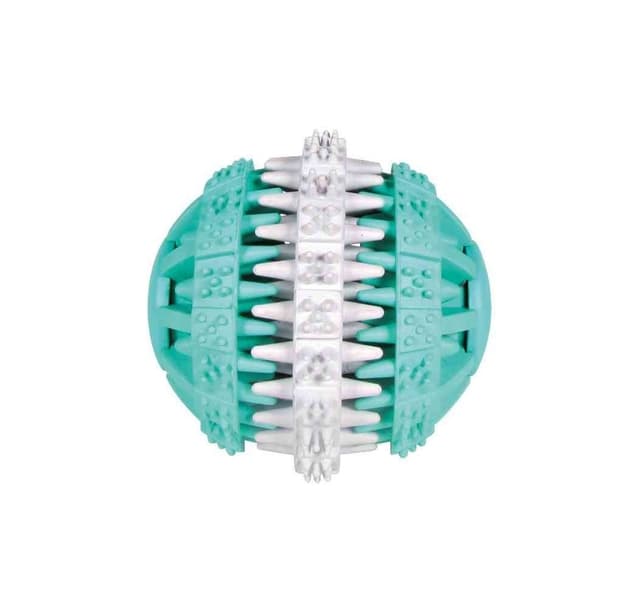 Leksak för hundar- boll DentaFun, mint, 6cm