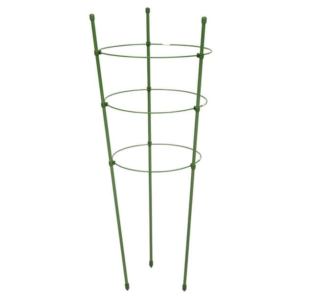 Plantering støtte 75cm