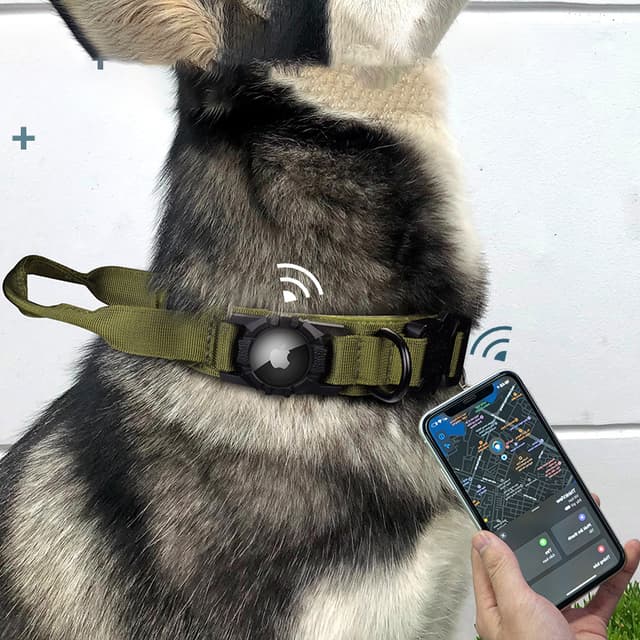 Wasserdichtes Hundehalsband Mit Integriertem AirTag-Halter - Geruchsneutral & Extrem Langlebig