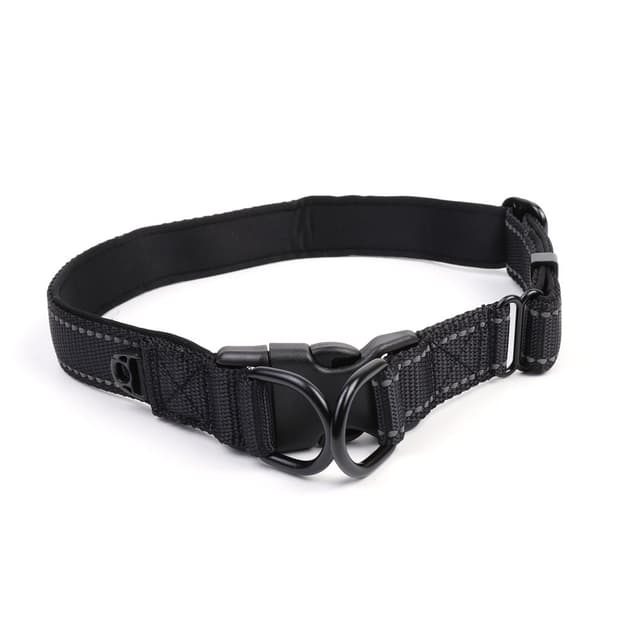 Reflekterande hundhalsband i nylon, justerbart djurhalsband L
