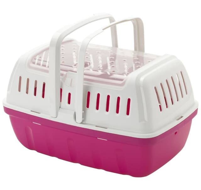 Bärare hipster stor varm rosa