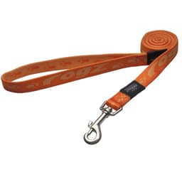 Gångkoppel Alpinist Large 20mm K2, orange