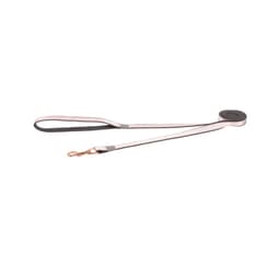Kävelyhihna Rogz Urban M 20mm/1,8m, Pink Blush