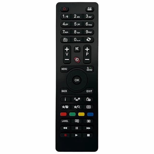 Erstatning av TV-fjernkontroll for RC4849 RC4870 RC4875 for JVC TV