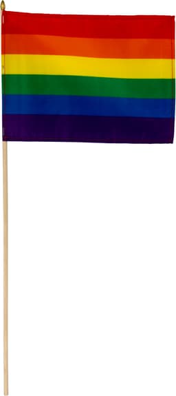 Pride-håndflag EL25BL900