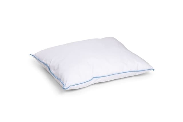 Queen Anne Kudde Låg 350G Vit