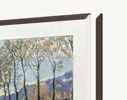 TCL FRM652A-O TV‑ram