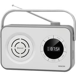 Portabel FM Radio med Bluetooth och Micro SD