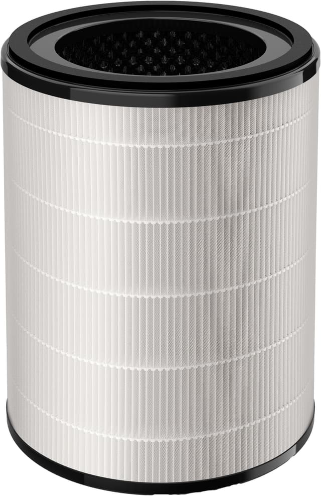 Series 3000 luftreningsfilter FY343030