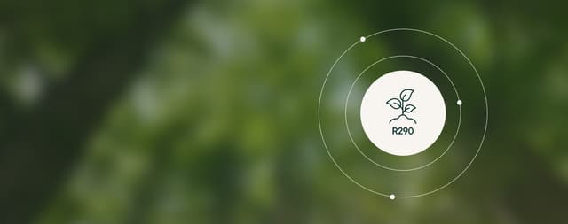 R290