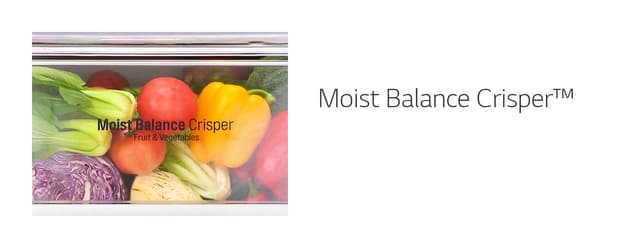 Moist Balance Crisper™