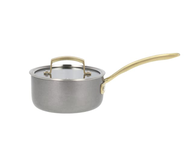 Pillivuyt Gourmet Kasserolle med glasslokk Stål