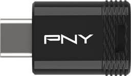 PNY Elite-X Fit Typ-C USB 3.2-minne 128 GB