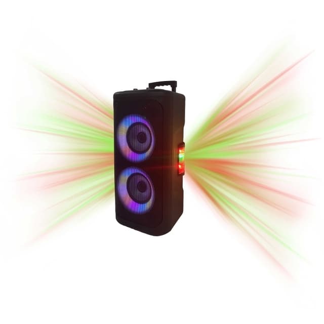 Denver Party-högtalare Portabel 2x6,5"" woofer Bluetooth LED-ljus 400W max TSP-353
