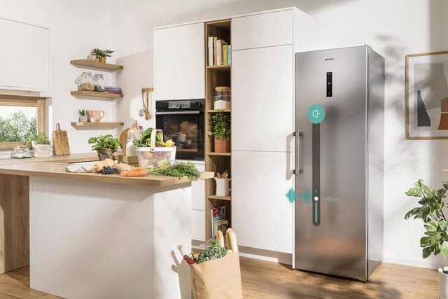 InverterCompressor (GardenFresh FS 2022)