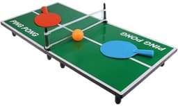 Lille bordtennisbord med tilbehør