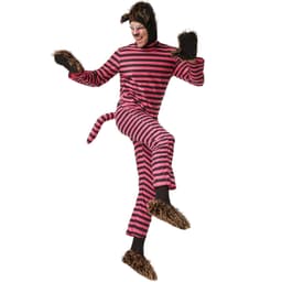 Mystiske grinekat