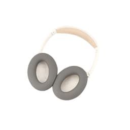 Bose QC45 silikonbeskyttelsesetui Grå