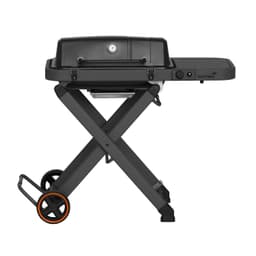 Gassgrill FOLD