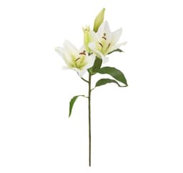 Tekokukka PUUTARHASSA K75cm, valkoinen lilja