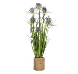 Tekokukka puutarhassa H70cm, violetti krysanteemi, ruoho ruukulla