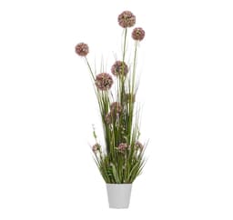Tekokukka PUUTARHASSA H120cm, violetti allium, ruoho ruukulla