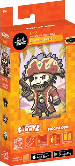 First 4 Figures Figgyz Sea of Thieves Magnet actionfigure (Briggsy)