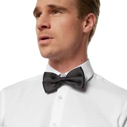 Enfärgad fluga