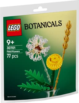 LEGO Botanicals Ängsblommor 30701