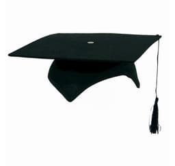 Hattu professori