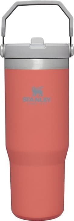 Stanley The IceFlow Flip Straw Tumbler thermos flask, guava, 890 ml