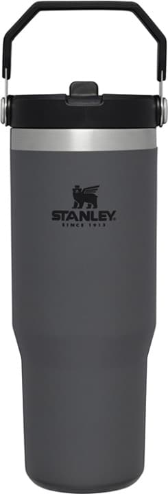Stanley The IceFlow Flip Straw Tumbler thermos flask, charcoal, 890 ml
