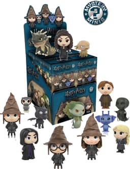 Funko Mystery Minis Harry Potter minifiguuri (blind box)