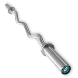 Master Fitness Master Curlstang Silver