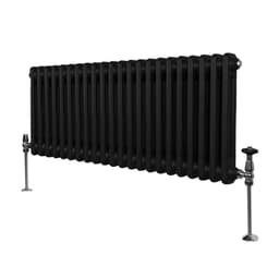 Tradisjonell horisontal 2-kolonne radiator - 300 x 1012 mm - Svart