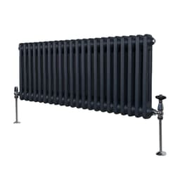 Traditionel 2-søjlet radiator - 300 x 1012 mm - Antracitgrå