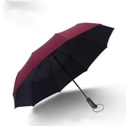 Automatiskt Ihopfällbart Paraply - 10 Ribbor Mörkröd
