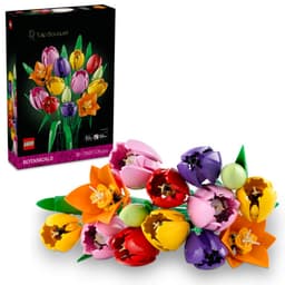 LEGO Botanicals Tulppaanikimppu 11501
