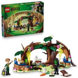 LEGO Wicked Elphabas retreat 75687