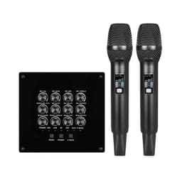 Trådlöst Mikrofonsystem med Equalizer och Ljudmixer för Karaoke och Li