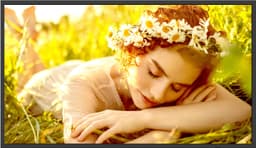 LG 32UL5Q 32" digital skyltning