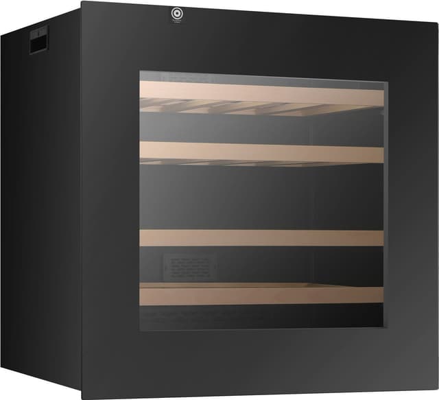 Wine WI6060T-1B30 Vinskap