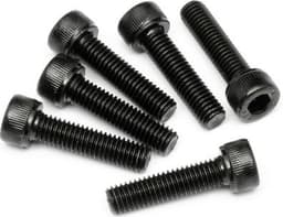 Cap Head Screw M5X20Mm (6Pcs)