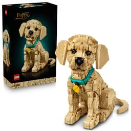 LEGO Icons Golden retriever hvalp 11384